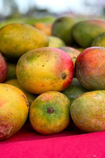 The Waianae Coast Comprehensive Health Center provides solutions to reduce food insecurity and childhood obesity.